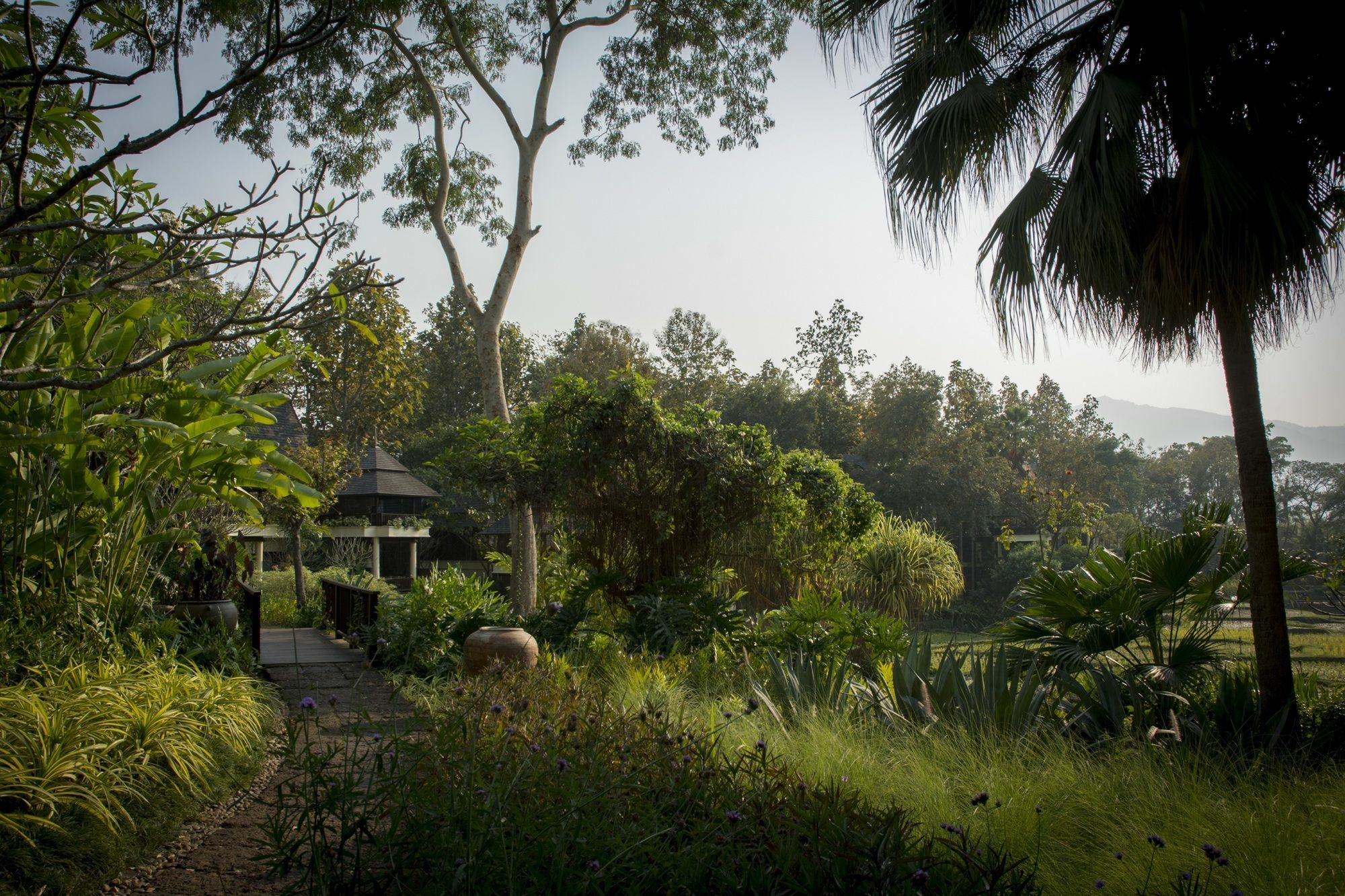 Four Seasons Resort Chiang Mai Mae Rim Esterno foto